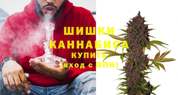 крисы Вязьма