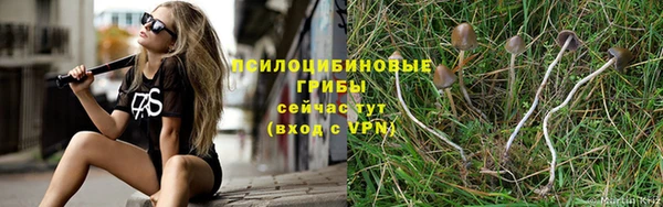 метадон Вяземский