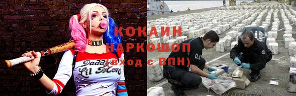 крисы Вязьма