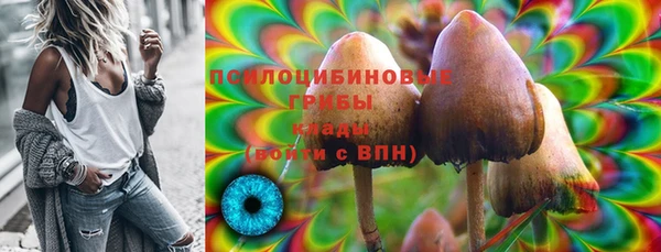 крисы Вязьма