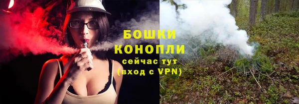крисы Вязьма