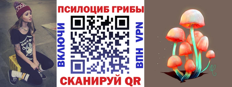 гидра ONION  Знаменск  Псилоцибиновые грибы Psilocybe 
